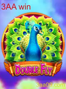DoubleFly: Tudo Sobre o Novo Sensação do Mundo dos Jogos